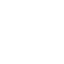 Google Cloud Partner