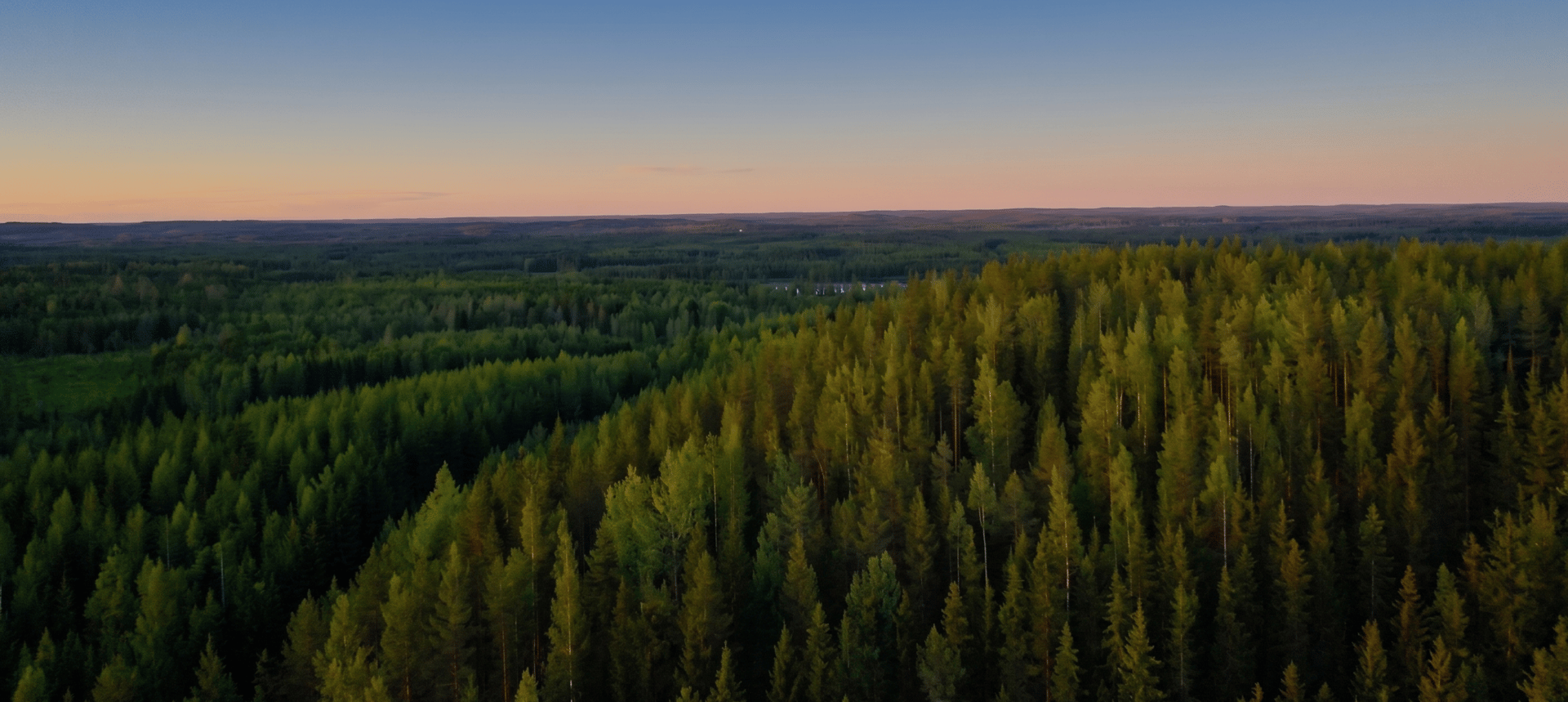 METSÄ1