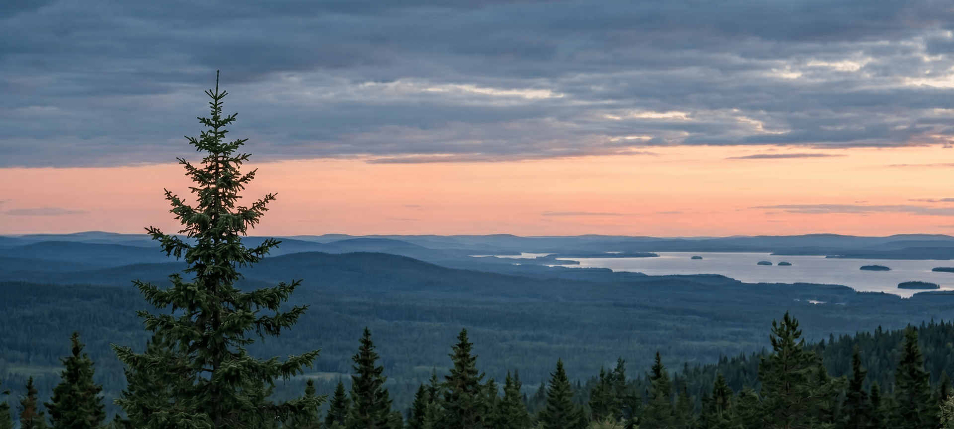 METSÄ2-1
